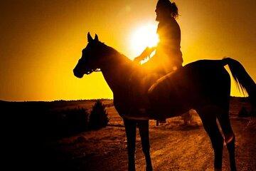 Punta Cana Sunset Horseback Ride in Macao Beach and Forest