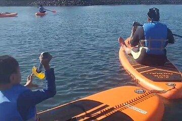 Paddle Board Picnics Lessons Rentals and Outdoor Adventures