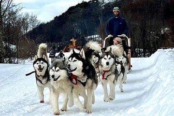 White Adventure with Sledge Ride and Snowmobile