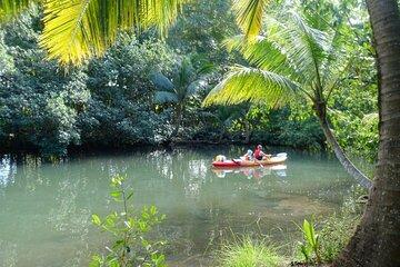 Experience Authentic Guadeloupe with a Multilingual Local Guide