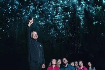 Hobbiton Waitomo Caves and Blue Spring Private Tour
