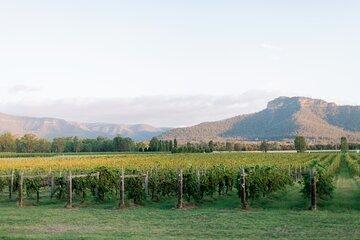 Sydney Hunter Valley Private Wine Tour with Tastings and Lunch