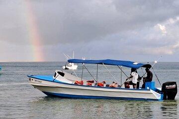 Collective Boat Transportation to Corcovado Sirena from Drake Bay
