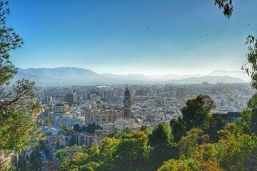 Malaga 10 Hour Private Tour with Free Photoshoot