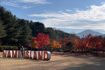 Seoul to Nami Island Alpaca World and Everland with Driver