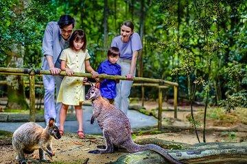 Night Safari Tickets with Tram Ride