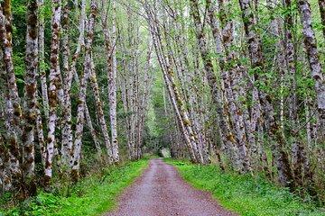 Multi Day Trek from Vancouver to Victoria