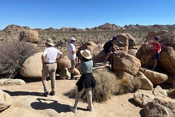 Private Adventure & Sightseeing Tour of Joshua Tree Park (Max 10)