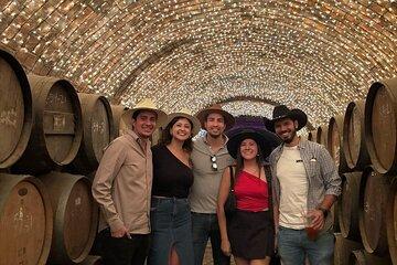 Guided Full Day Tour to Tequila and Cantaritos el Guero