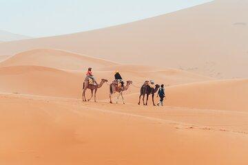 9 Day Private Morocco Tour Casablanca Desert and Imperial Cities