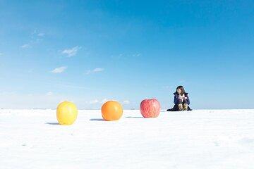 Ice Horizon Walk: Frozen Sea Adventure of Notsuke Peninsula