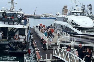 Private Charter Boat to Robben Island with Guided Tour