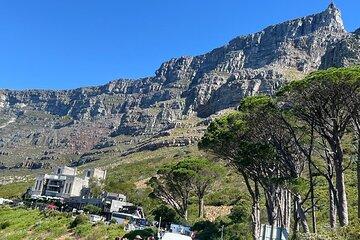 Cape Town Half Day Table Mountain Tour with Cable Car Ticket