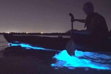 Orcas Island Bioluminescence Kayaking Tour