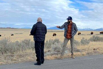 Private Antelope Island & Great Salt Lake Tour