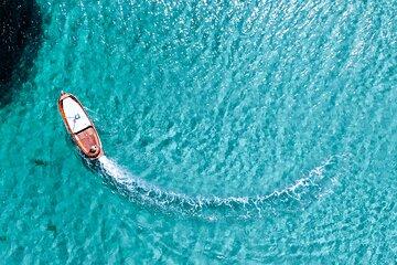 Half Day Boat Tour in Tavolara and Molara