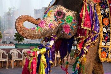 Private Multi Day Golden Triangle Tour from India