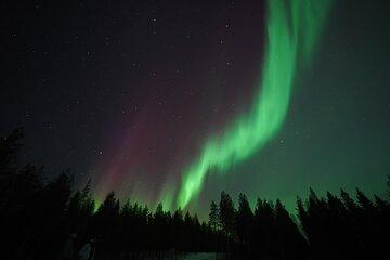 Aurora Quest by Minibus