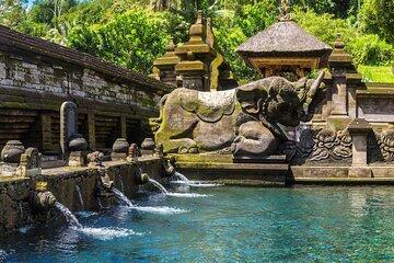 Bali Spiritual Journey Tirta Empul Goa Ajah and Taman Beji Criya