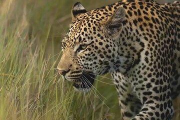 7 Day Private Tour National Park in Rwanda