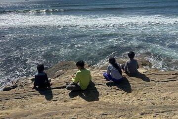 Point Loma Tide Pool Tour