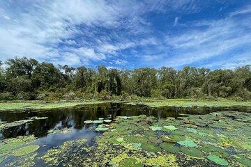 2-Days Mekong Delta Tour: Melaleuca Forest, Sa Dec, Xeo Quyt
