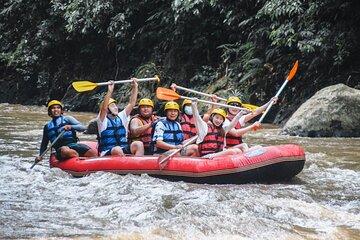 Bali Adventure Ayung River Rafting Customizable Day Tour
