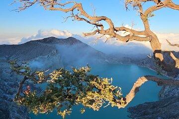 4 Days Tour From Yogya Tumpaksewu Bromo Ijen
