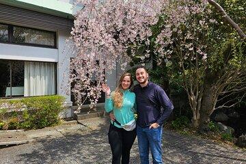 Mount Fuji and Cherry Blossom E-Bike Tour (seasonal availability)