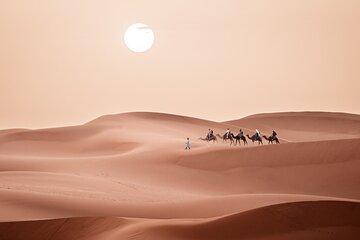 Sahara Desert Trip from Fez to Marrakech 3 Days 2 Nights