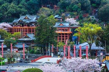 Kyushu: Yutoku Inari Shrine & Sachihime Sake Brewery 1-Day Tour