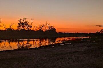 Maun Ngamiland 4-Day Guided Tour