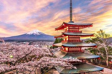 Mt. Fuji Scenic Day Tour Arakurayama Tendi Oshino and Kawaguchiko