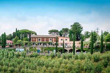 Trekking through the vineyards and wine tasting on the hills of Lucca