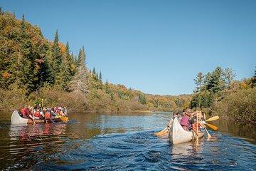 Algonquin Park and Ragged Falls Hike and Canoe Adventure