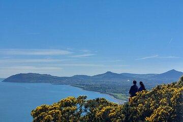 Dublin Private City Highlights and Suburbs Tour