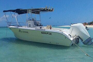 Private Boat Tour in Aruba