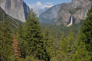 2 Day Private Tour to Yosemite National Park