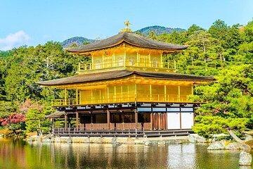 Private and Customizable Kyoto Tour with English Speaking Driver