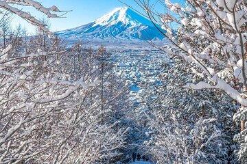Mount Fuji Day Tour from Tokyo with Customizable Itinerary (ENG)