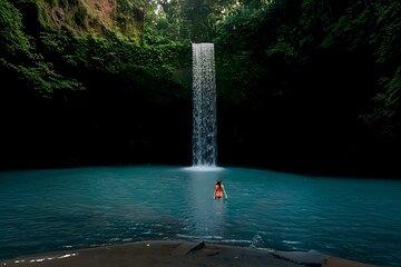 Ubud Private Tour: Waterfalls, Rice Terrace, Swing, All-Inclusive