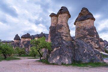 5 Day Cappadocia Pamukkale Ephesus Gallipoli and Troy Tour