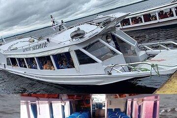 Shared Tour Amazonian Natural Beauty in Manaus