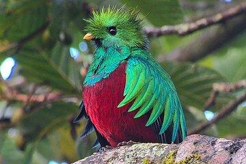 Natural History Tour