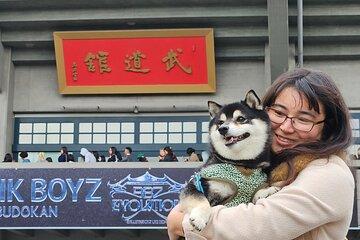 Shiba Inu Walk & Picnic at Former Edo Castle Gardens