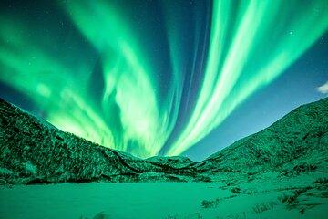 Northern Lights Chase Tour in Tromso