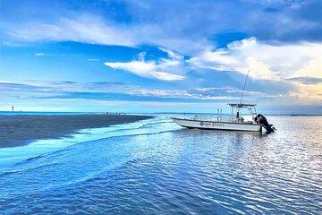 Hilton Head Vanishing Island & Beachcombing Cruise