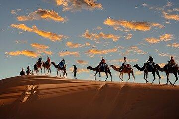 Explore Moroccan Culture with 4 Day Desert Odyssey from Fez