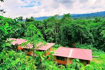Explore the Manu Biosphere Forest in 2D from Cusco