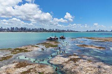 Natural Pools DE Picãozinho - Emb. Pirate